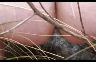 XXX பெரிய மார்பகங்கள் செக்ஸ் வீடியோ
