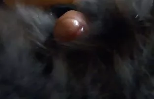 XXX ஆபாச இறுதி பேண்டஸி தொகுப்பு